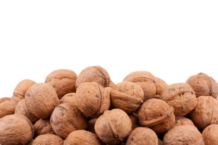 Walnut isolated on a white backgroundの写真素材
