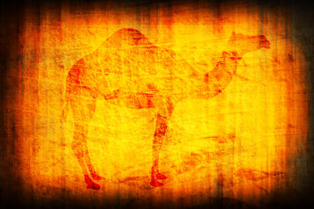 egypt background with camelの写真素材