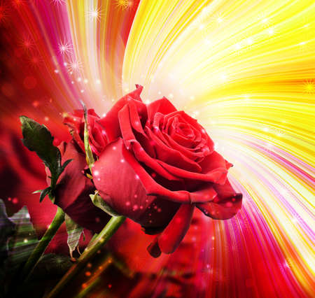 background with red roses with sparklesの写真素材
