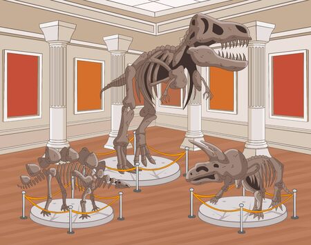 Group of dinosaur skeletons at archeology museum.のイラスト素材