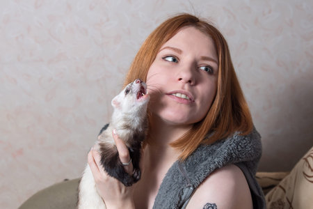 Studio image of a girl with a ferretの写真素材