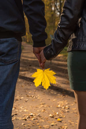 maple leaf in the hands of the girl and the man in the park in autumnの写真素材