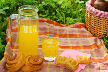 Picnic in nature. Picnic basket with fruit decanter juice and bunsの写真素材