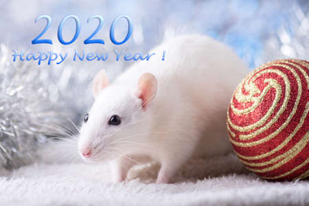 Happy New Year! Symbol of New Year 2020 - white or metal (silver) rat. Cute rat with Christmas decoratedのeditorial素材