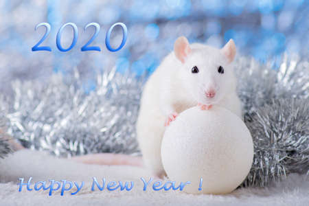 Happy New Year! Symbol of New Year 2020 - white or metal (silver) rat. Cute rat with Christmas decoratedのeditorial素材