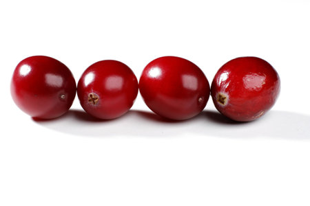 Fresh cranberry isolated on white backgroundの写真素材