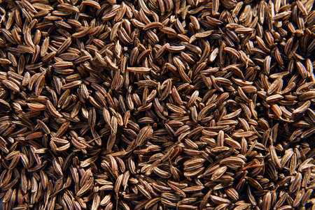 Caraway seeds Background の写真素材
