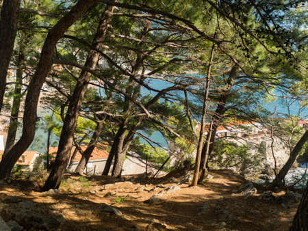 Beautiful view from the Petrovac national park "pesacka staza"の写真素材