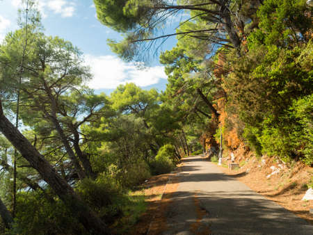 beautiful walking road in the Petrovac national park "pesacka staza"の写真素材