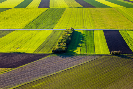 Austrian fields creating interesting patterns