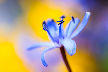 high magnification macro