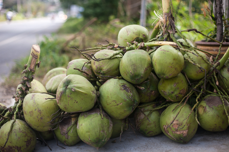 Coconuts for saleの写真素材