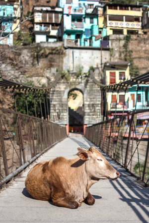 Devprayag, Uttarkhand, India - April, 6th, 2015. View of the bridge over Bhagirathi river