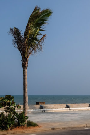 Pondicherry, India - December, 17th, 2016. Promenade beach road in Pondicherryのeditorial素材