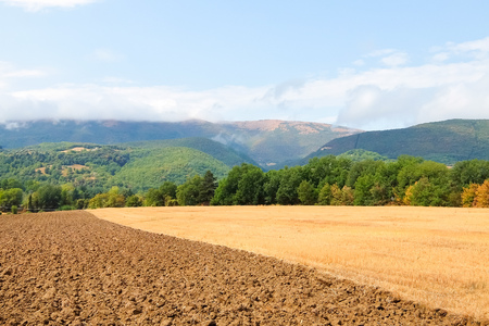 Beautiful agricultural landscape with hills and cloudy sky in background. Sunny day in italian countryside.の写真素材