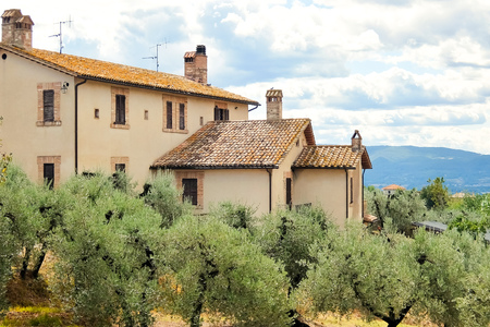 Beautiful landscape with olive trees and house in italian countrysideの写真素材