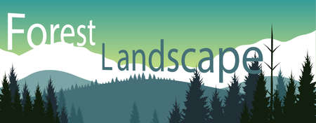 Concept of trendy Forest mountains landscape bannerの写真素材