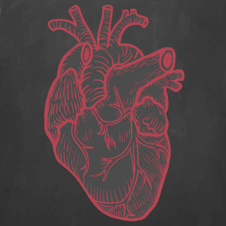 Red Hand drawn heart on black backgroundのイラスト素材
