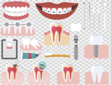 Set of isolated dental care vector elements