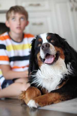 Sad child with the dog sitting on the floorの写真素材