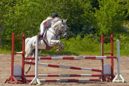 Young girl in a Horse jumping competitionの写真素材