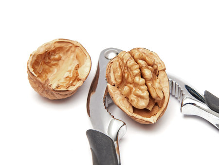 Opened common walnut and nutcracker tool on a white backgroundの写真素材