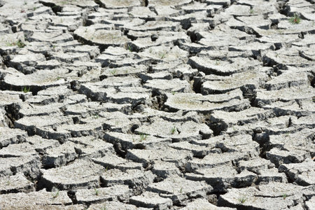 Dried mud making cracks and patterns