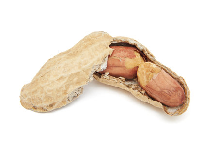 Closeup image of a open shelled peanut on a white background