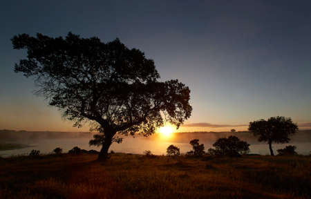 Landscape in extremadura, spain with sunrise in the backgroundの写真素材