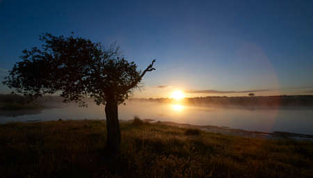 Landscape in extremadura, spain with sunrise in the backgroundの写真素材