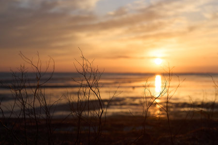 A beautiful sunset at the shore in Denmark