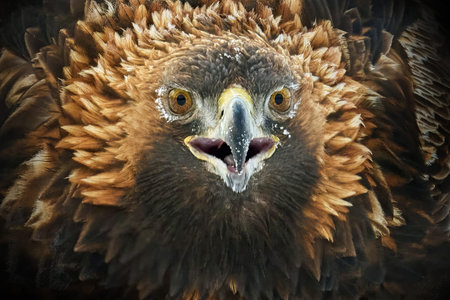 Golden eagle in its natural environment