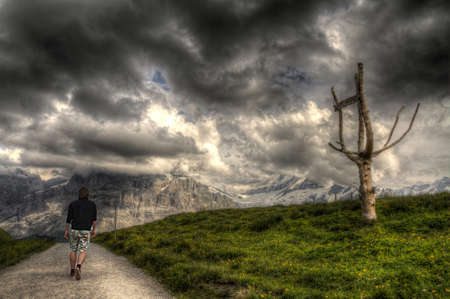 Don t go past the tree の写真素材