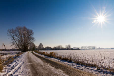 A road in a beautiful winter landscape in the Netherlandsの写真素材