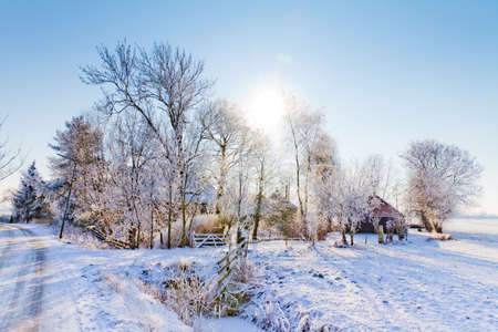 High key winter landscape on a sunny dayの写真素材