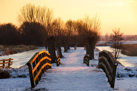 Bridges in a natural park in winter in the Netherlands at sunsetの写真素材