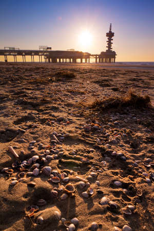 Shells on the beach with the pier of Scheveningen, the Netherlands, in the backgroundのeditorial素材