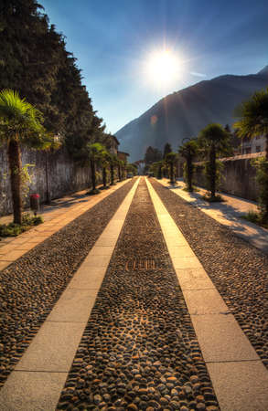 Sunset in Italy  A beautiful street with palms leading towards the vanishing pointの写真素材