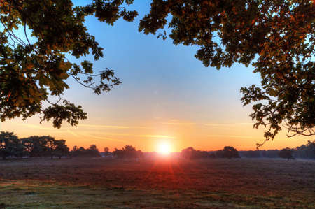 Beautiful sunrise in a heathland in the Netherlands, looking trough the treesの写真素材