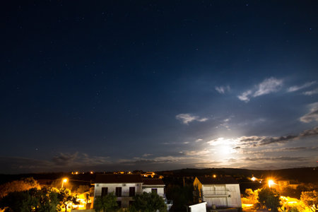 Moonlit landscape with a rising moon on the horizon