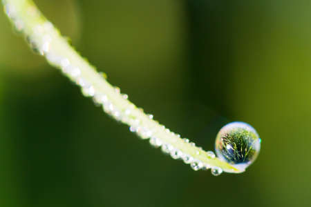 Reflection of a field in a drop of waterdew on the tip of a blade of grassの写真素材