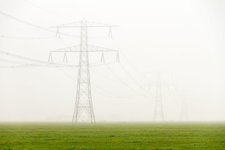 Power pylons in a field on a foggy morning in the Netherlands