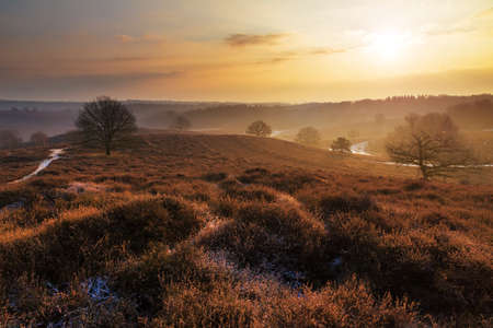 Beautiful winter sunrise landscape at national park the Posbank in the Netherlandsの写真素材