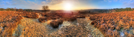 Beautiful 360 degree winter sunrise HDR panorama at the Posbank in the Netherlands