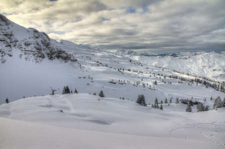 Beautiful fresh powder landscape with pine trees in Les Portes du Soleil in the European Alpsの写真素材