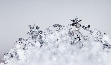 Close up macro image of beautiful snowflakes on a grey dayの写真素材