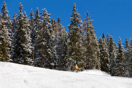 Snowboarder in action on a sunny day in the Italian Alpsの写真素材