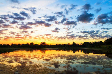 Beautiful sunrise reflected in a pond with a flock of birds flying by in the Netherlandsの写真素材