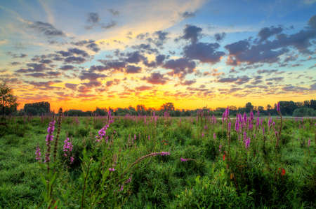 Beautiful sunrise in national park  De Blauwe Kamer  in Wageningen, The Netherlands  HDRの写真素材