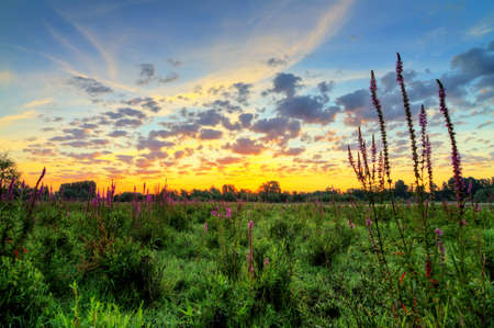 Beautiful sunrise in national park  De Blauwe Kamer  in Wageningen, The Netherlands  HDRの写真素材